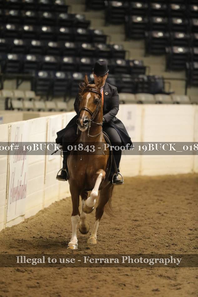 Proof 19BUCK_01843