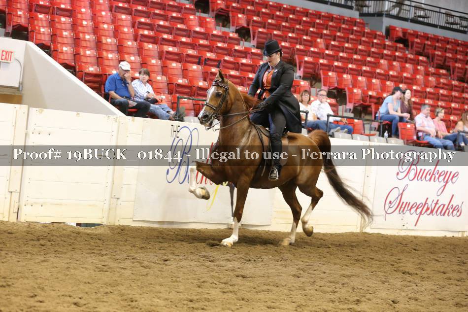 Proof 19BUCK_01844