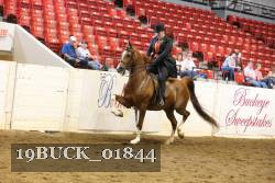 19BUCK_01844 proof
