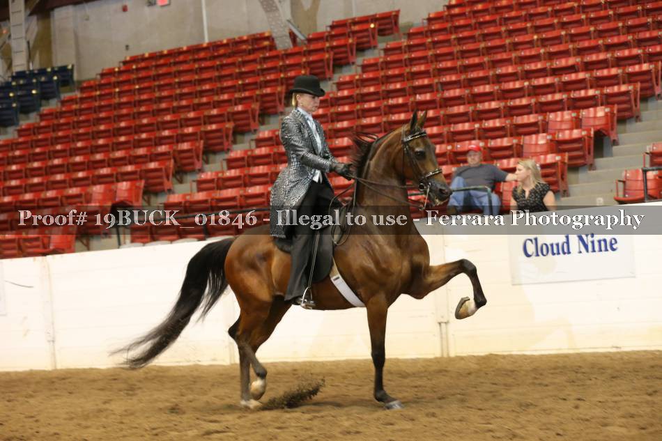 Proof 19BUCK_01846