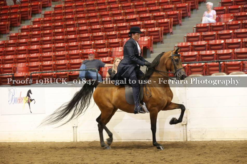 Proof 19BUCK_01847