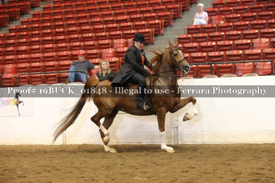 Proof 19BUCK_01848