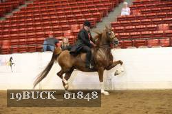 19BUCK_01848 proof