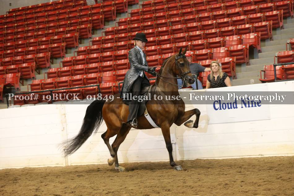 Proof 19BUCK_01849