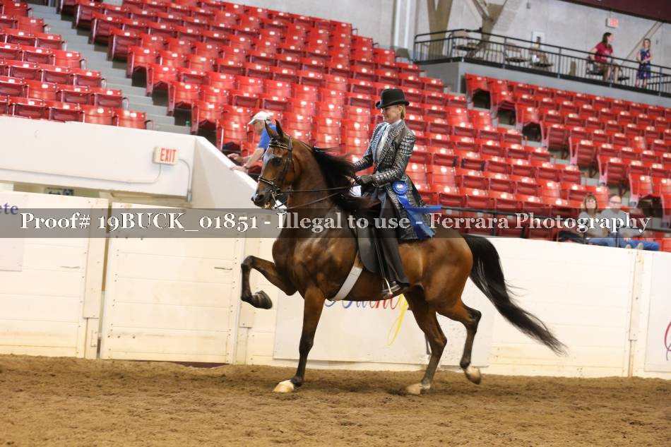 Proof 19BUCK_01851