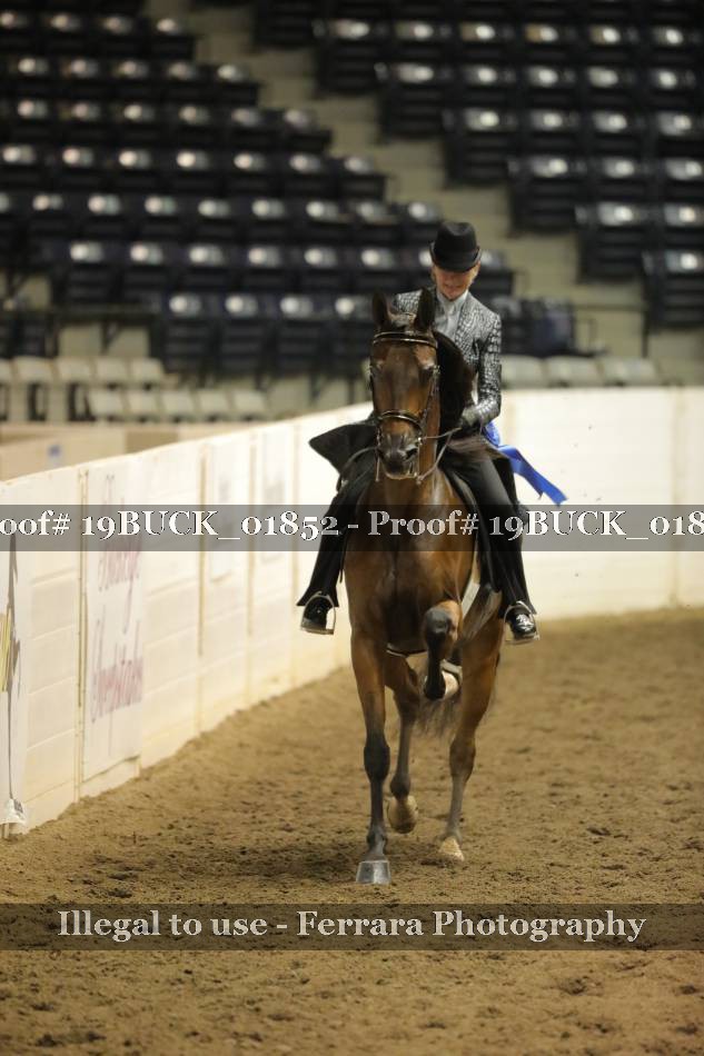 Proof 19BUCK_01852