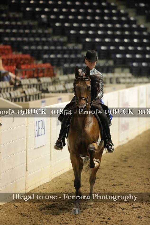 Proof 19BUCK_01854