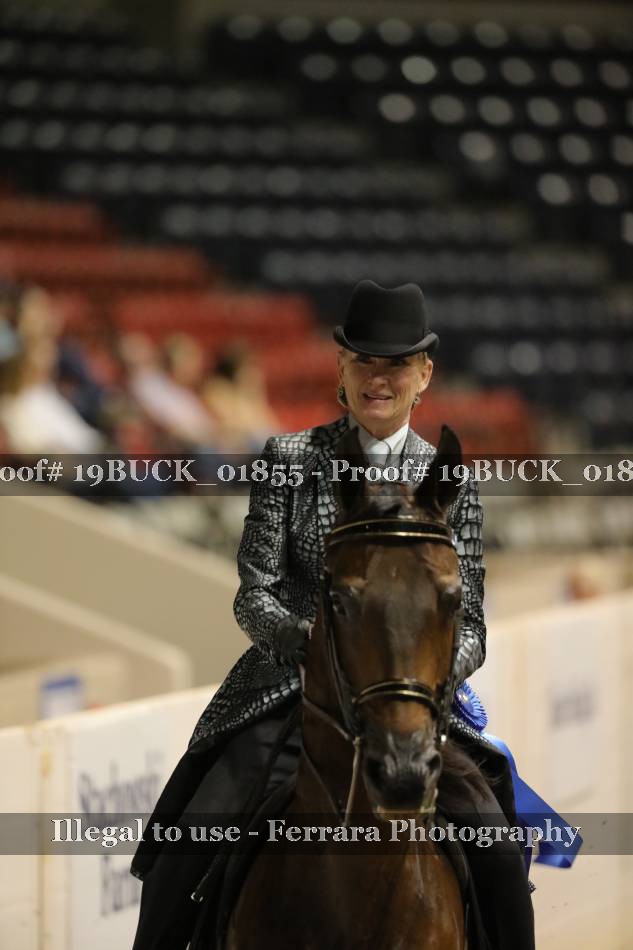 Proof 19BUCK_01855