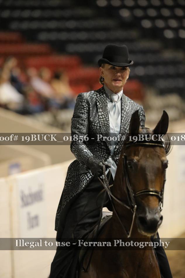 Proof 19BUCK_01856
