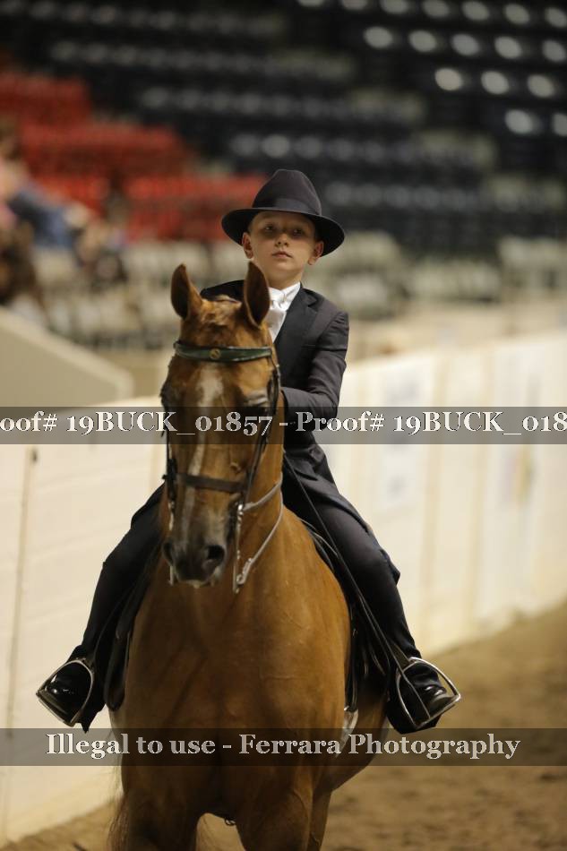 Proof 19BUCK_01857