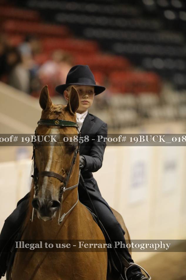 Proof 19BUCK_01858