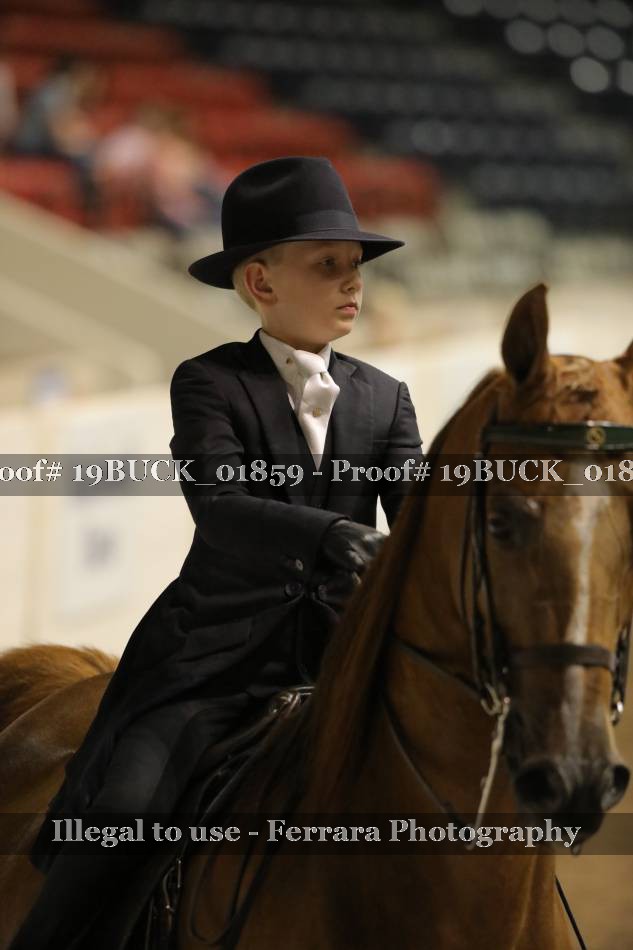 Proof 19BUCK_01859
