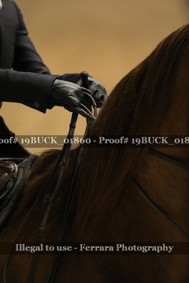 Proof 19BUCK_01860