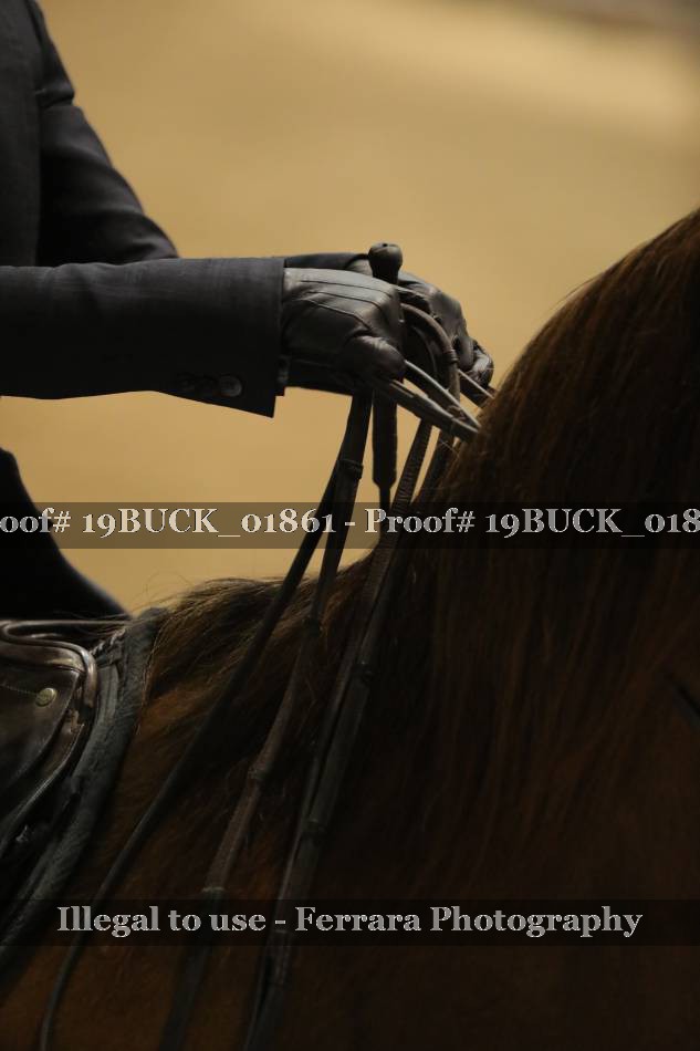 Proof 19BUCK_01861