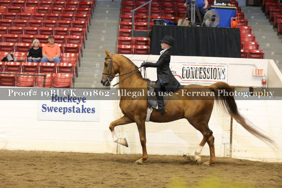 Proof 19BUCK_01862