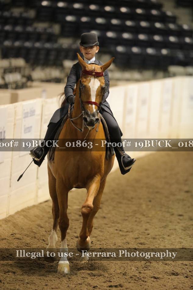 Proof 19BUCK_01863