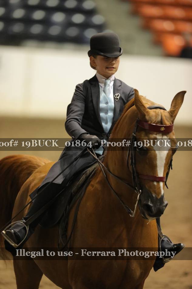 Proof 19BUCK_01864