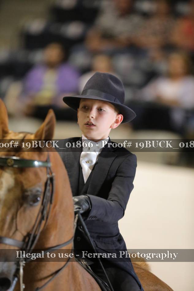 Proof 19BUCK_01866