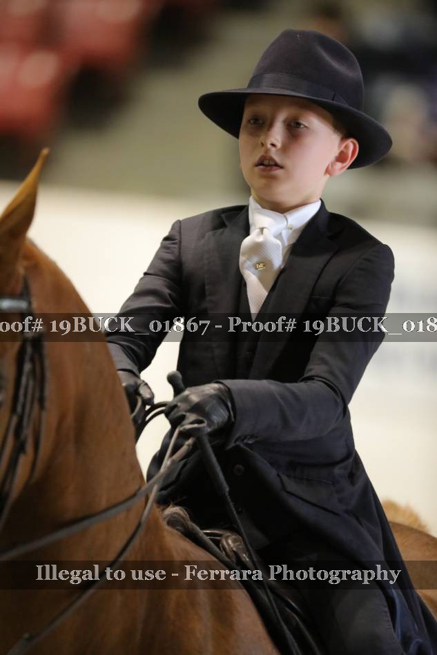 Proof 19BUCK_01867