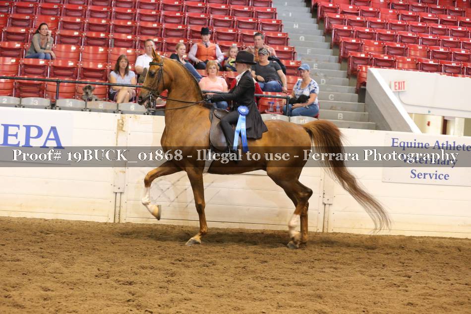 Proof 19BUCK_01868