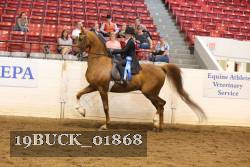 19BUCK_01868 proof