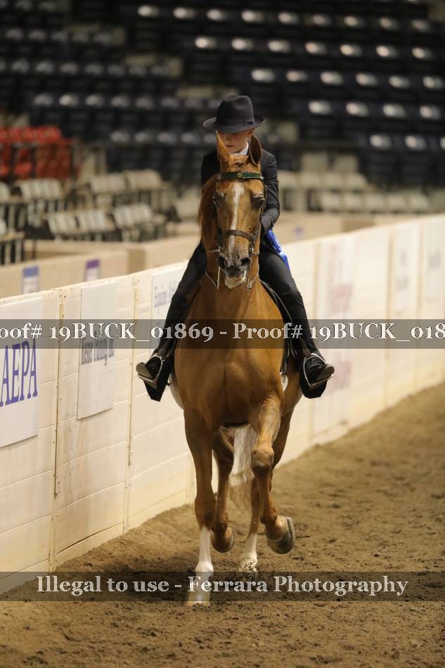 Proof 19BUCK_01869