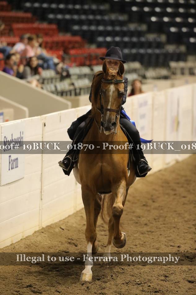 Proof 19BUCK_01870