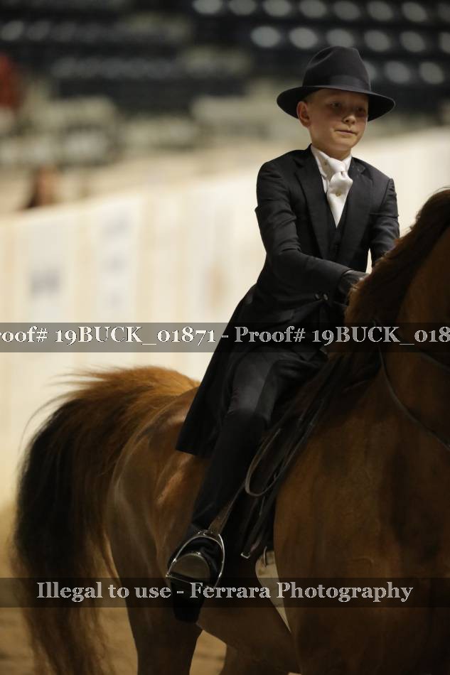 Proof 19BUCK_01871