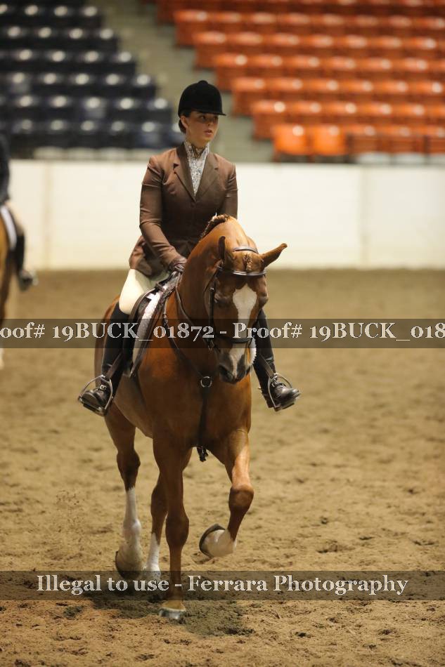 Proof 19BUCK_01872