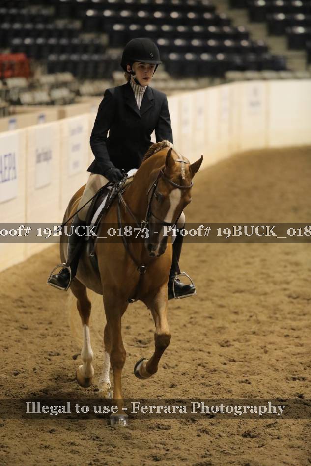 Proof 19BUCK_01873