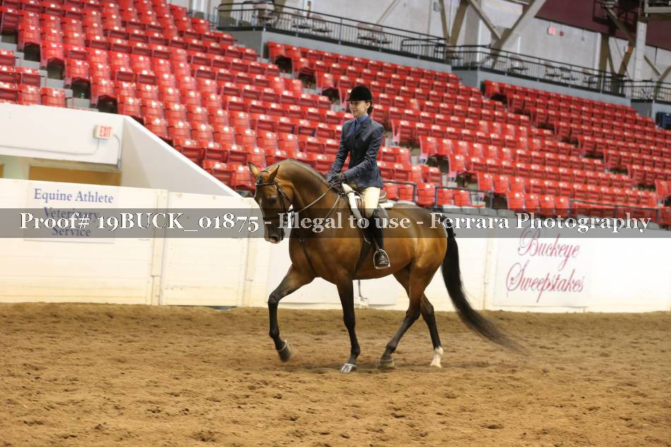 Proof 19BUCK_01875