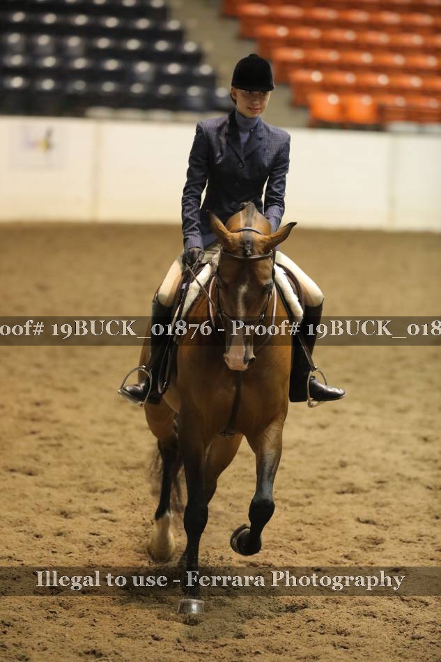 Proof 19BUCK_01876