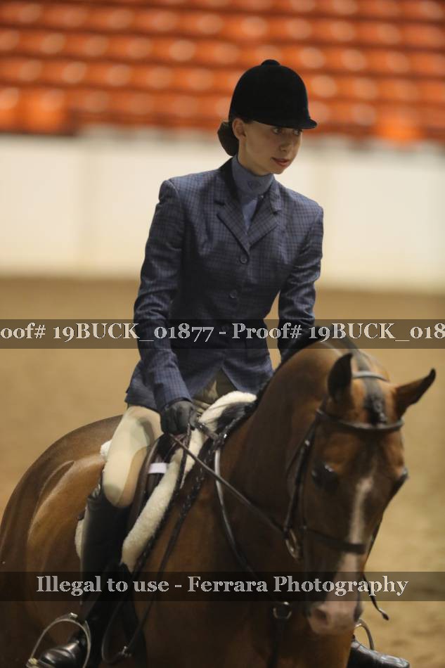 Proof 19BUCK_01877