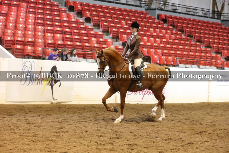 Proof 19BUCK_01878