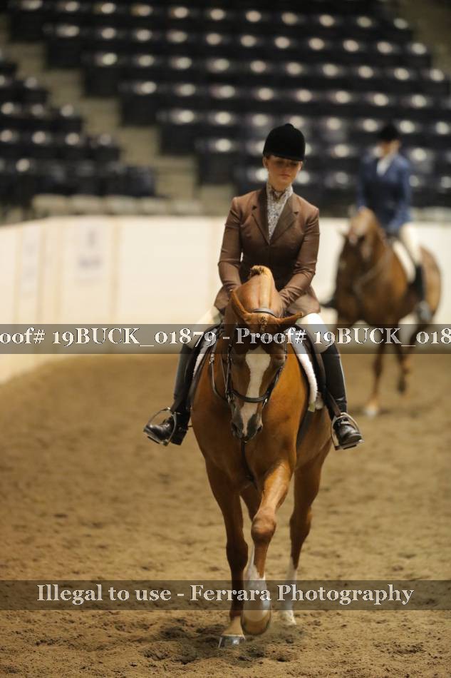Proof 19BUCK_01879