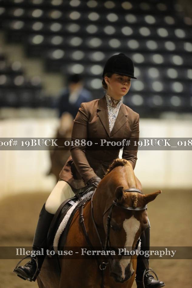 Proof 19BUCK_01880