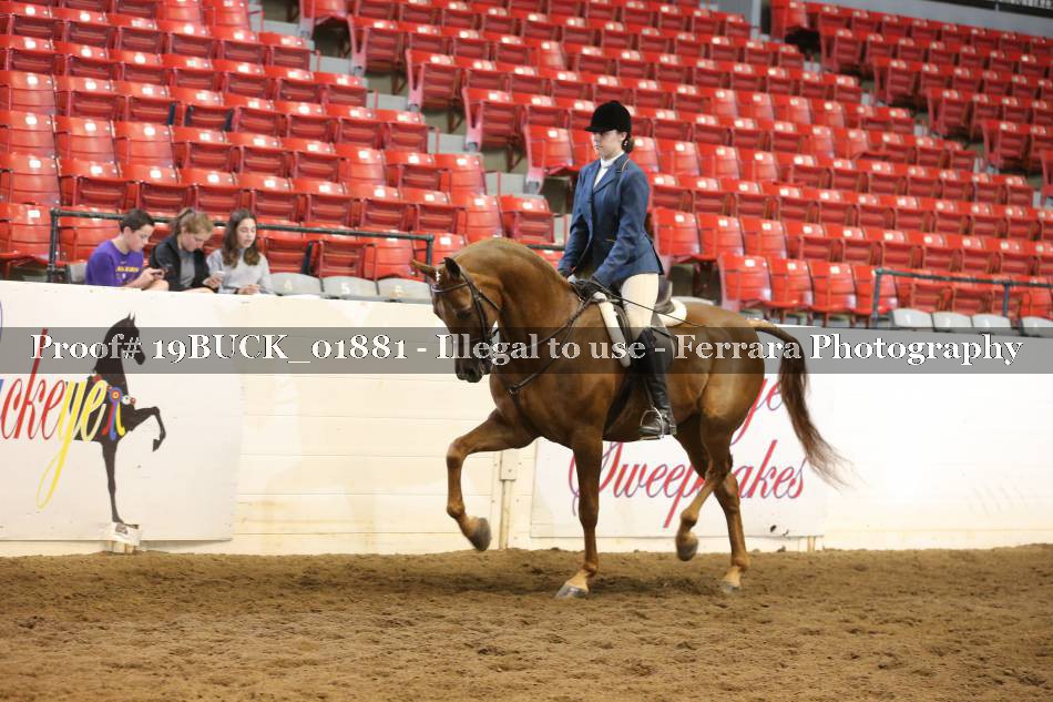 Proof 19BUCK_01881