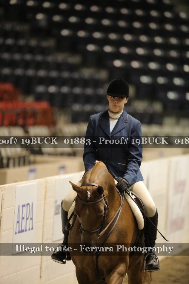 Proof 19BUCK_01883