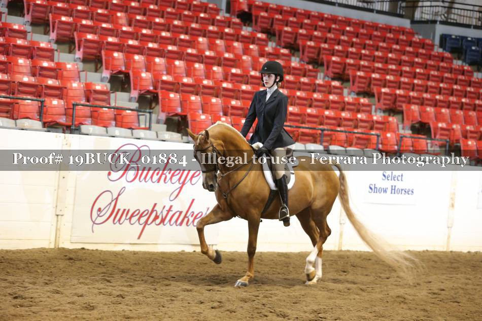 Proof 19BUCK_01884