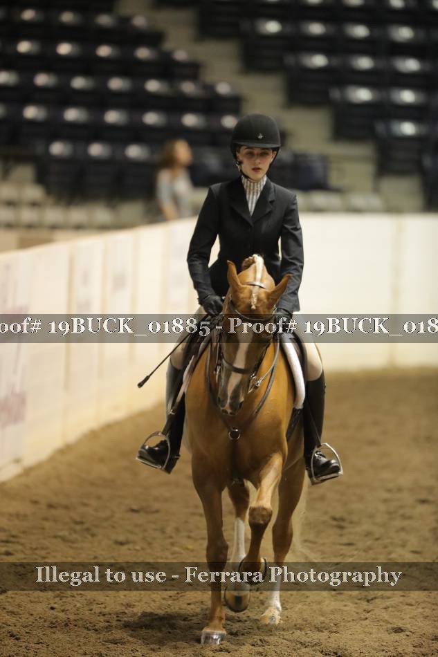 Proof 19BUCK_01885