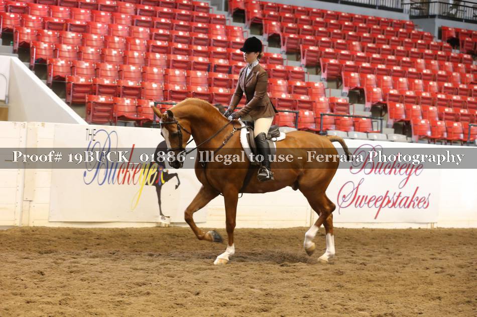 Proof 19BUCK_01886