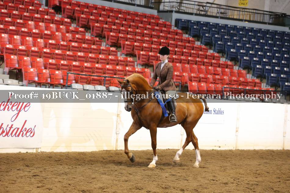 Proof 19BUCK_01887