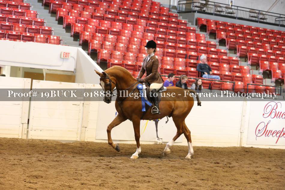 Proof 19BUCK_01888