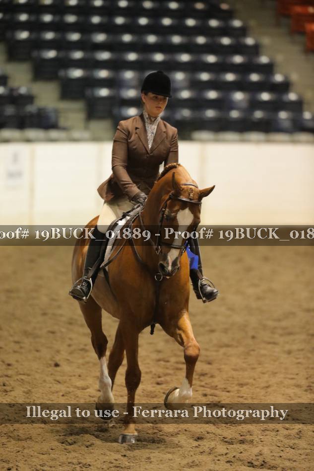 Proof 19BUCK_01889