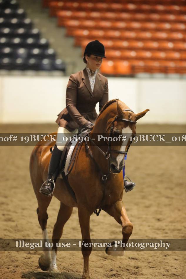 Proof 19BUCK_01890