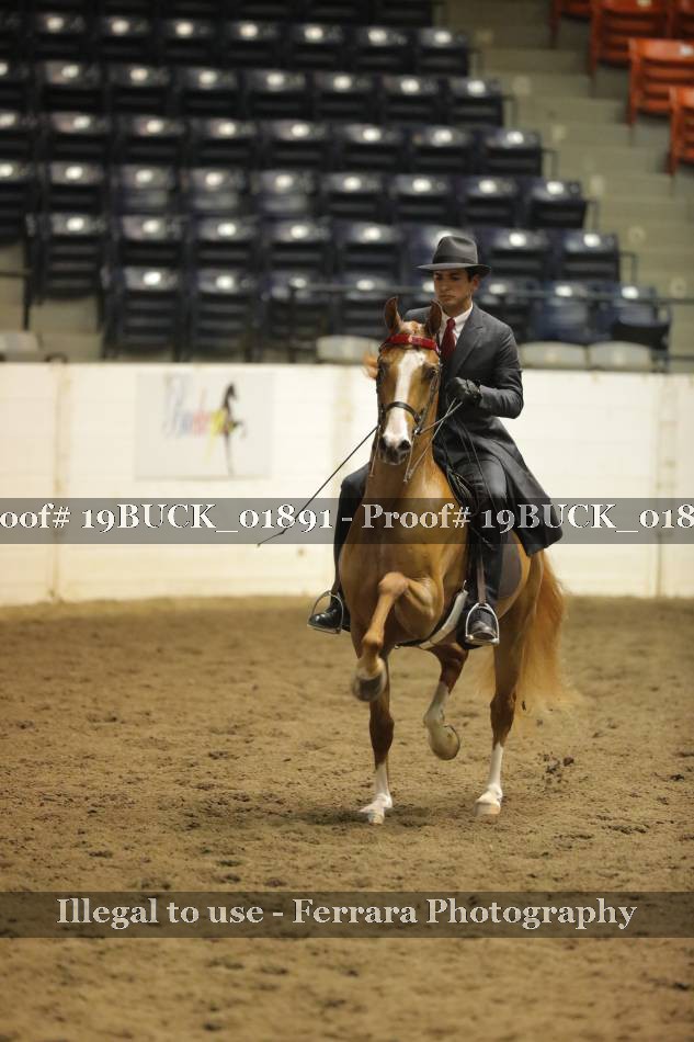 Proof 19BUCK_01891
