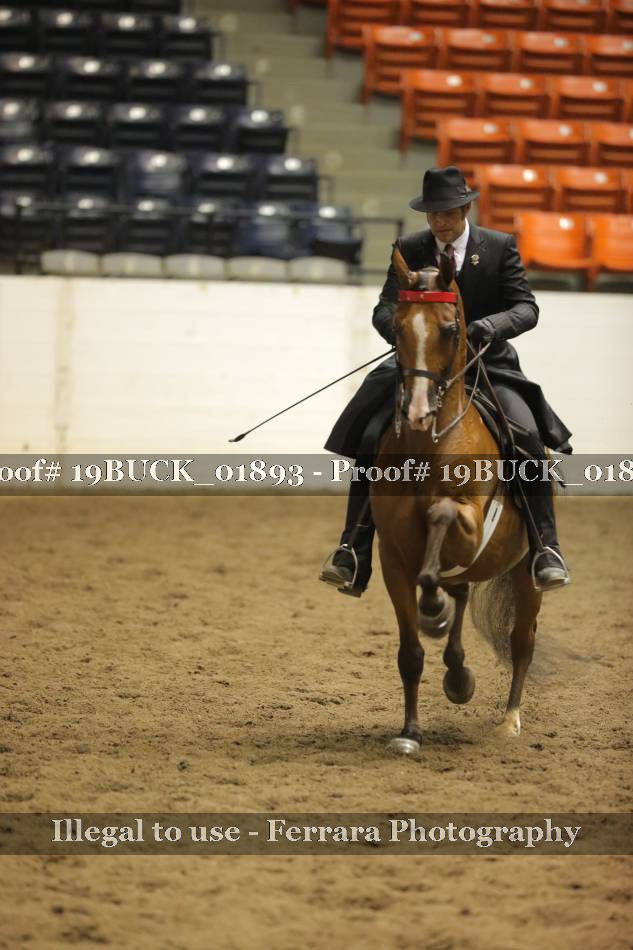Proof 19BUCK_01893