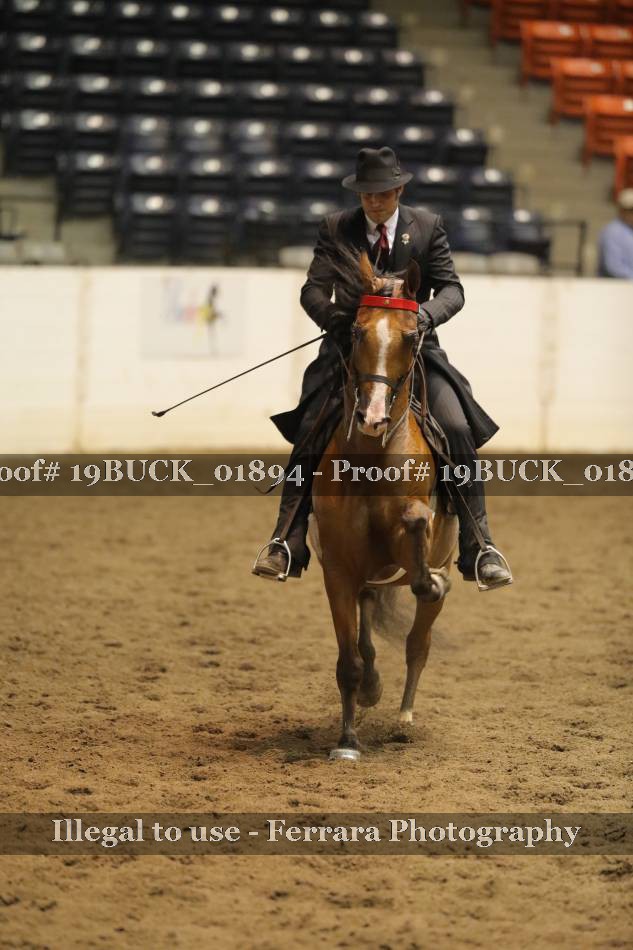 Proof 19BUCK_01894