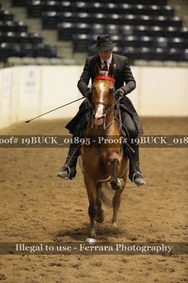 Proof 19BUCK_01895