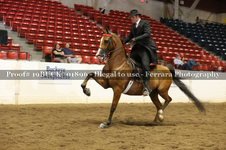 Proof 19BUCK_01896